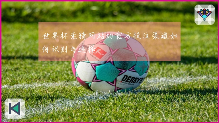 世界杯竞猜网站的官方投注渠道如何识别与选择