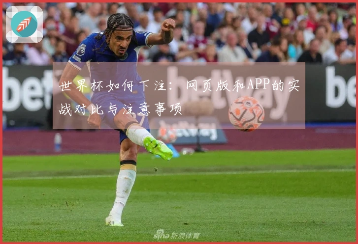 世界杯如何下注：网页版和APP的实战对比与注意事项