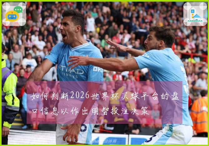 如何判断2026世界杯买球平台的盘口信息以作出明智投注决策