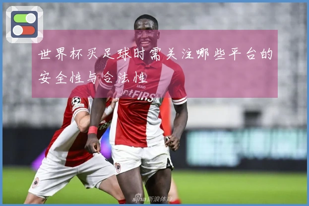 世界杯买足球时需关注哪些平台的安全性与合法性