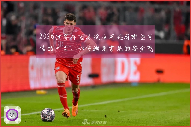 2026世界杯官方投注网站有哪些可信的平台，如何避免常见的安全隐患？